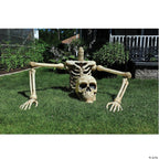 4 Ft. Posable Skeleton Halloween Decoration