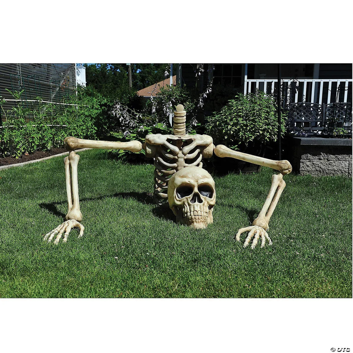 4 Ft. Posable Skeleton Halloween Decoration