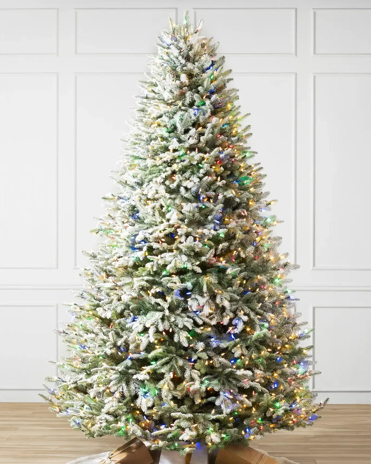 Frosted BH Balsam Fir??