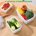 🔥🔥Hot Sale 🍓 Refrigerator Food Storage Containers – Keep Fruits Fresh