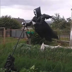 Halloween special offer-Scream ScareCrow