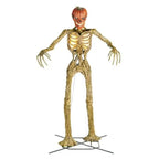 💝✨12 ft. Giant-Sized Skeleton with LifeEyes