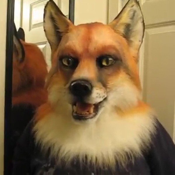 🐺WEREWOLF HEADWEAR COSTUME MASK🐺