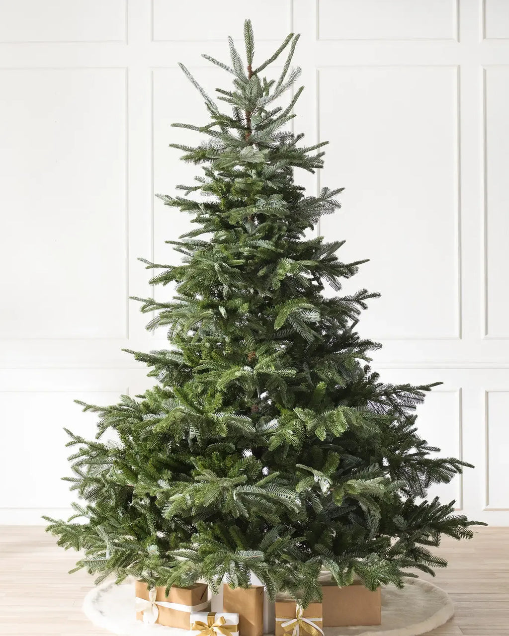 European Fir?? Tree