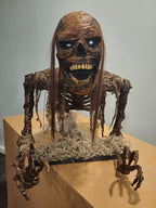 Decayed Crawler