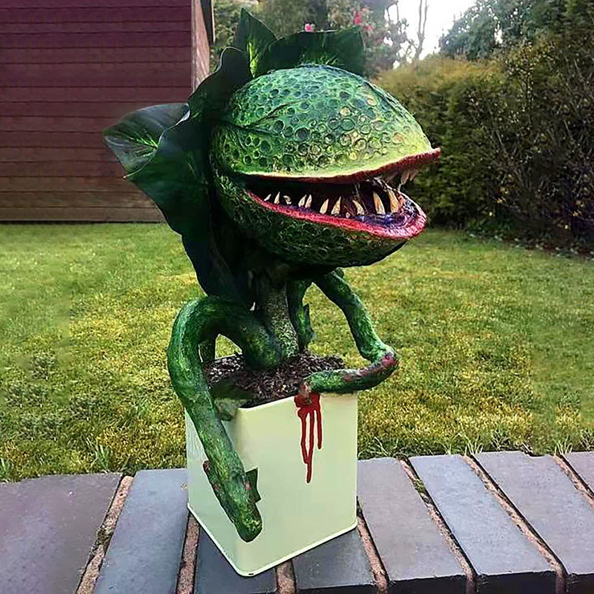 🎍Audrey plant from Little Shop of Horrors🎍