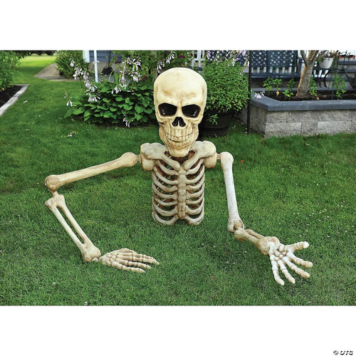 4 Ft. Posable Skeleton Halloween Decoration