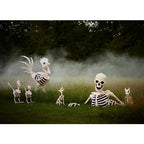 New! Red Shed 6 ft. Halloween Skeleton Rooster