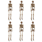 Poseable Pitted Skeleton with LED Eyes (6-Pack)