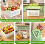 🔥🔥Hot Sale 🍓 Refrigerator Food Storage Containers – Keep Fruits Fresh