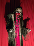 Vamp