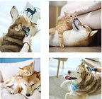 JASWELL Pet Grooming Tool- 2