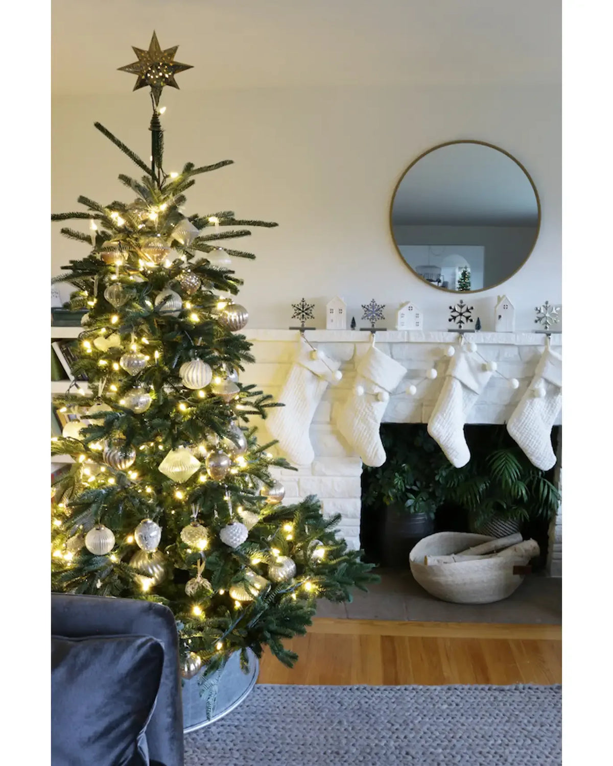 European Fir?? Tree
