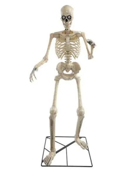 💝✨12 ft. Giant-Sized Skeleton with LifeEyes