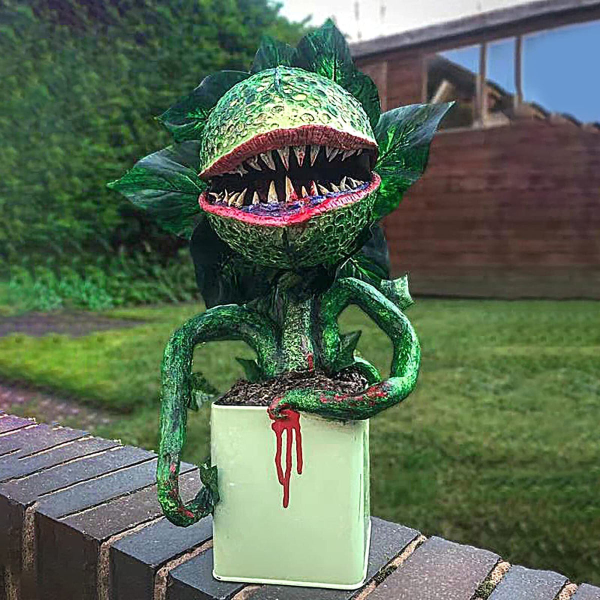 🎍Audrey plant from Little Shop of Horrors🎍