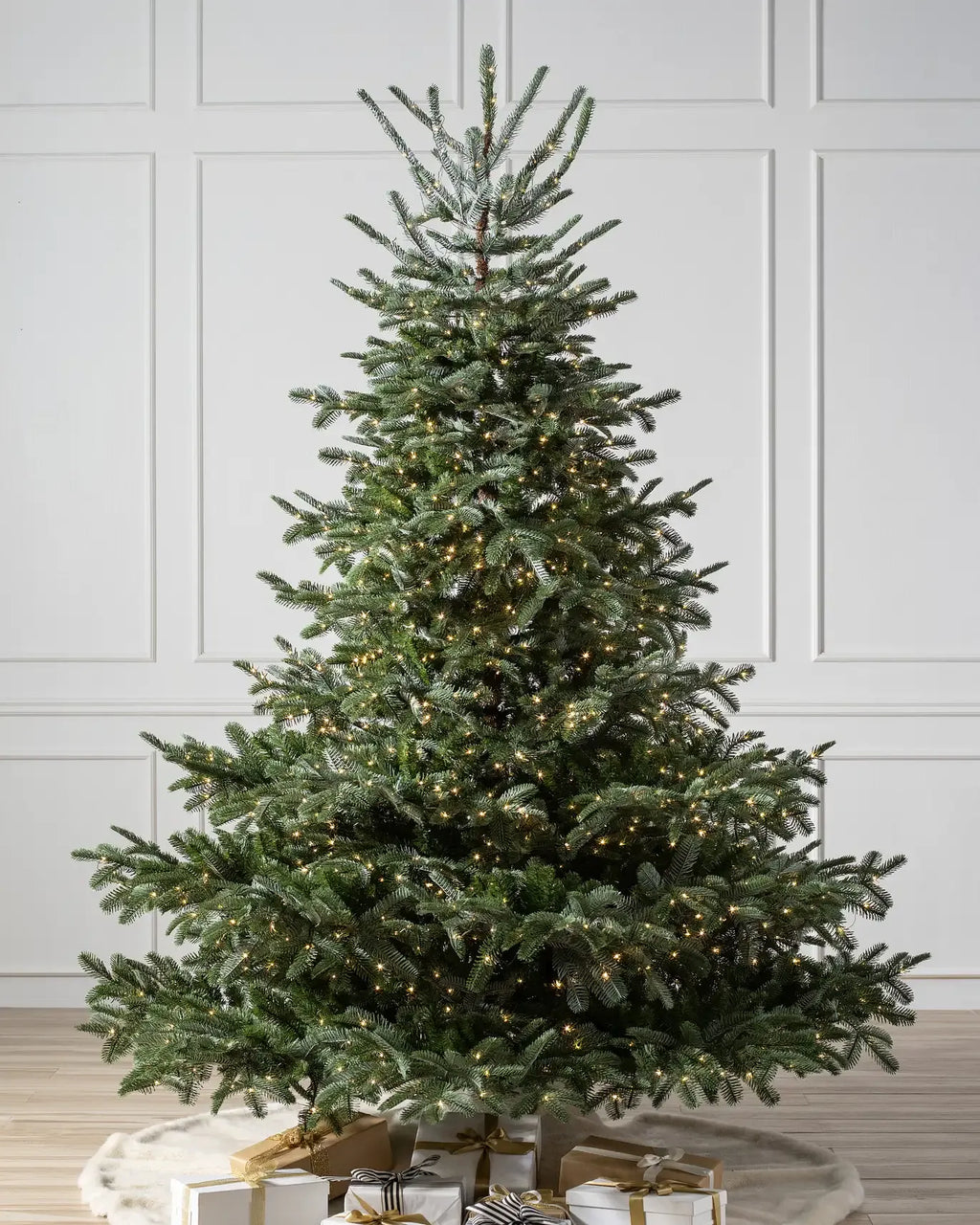 European Fir?? Tree