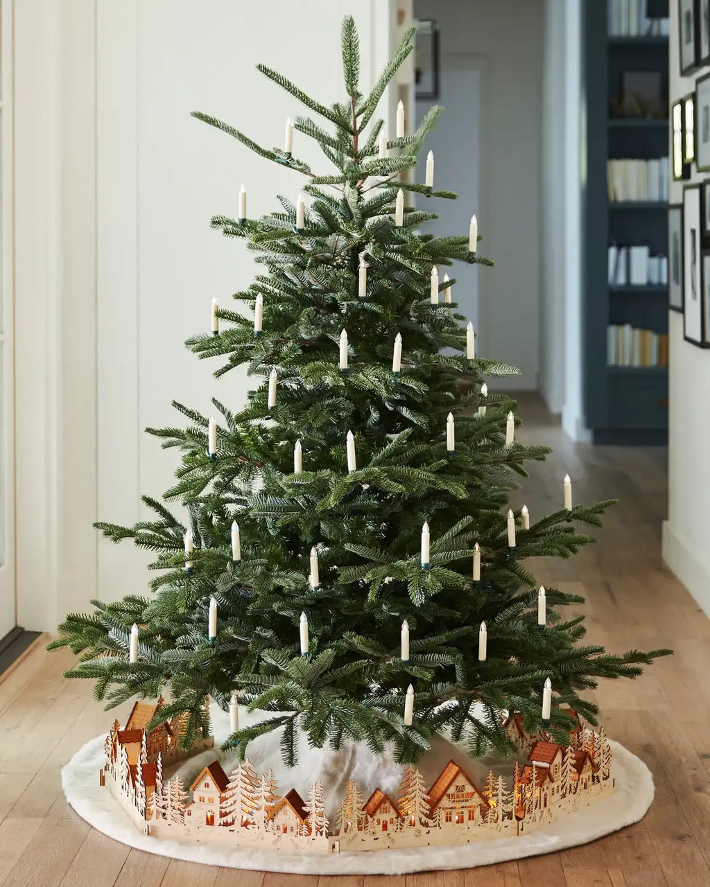 European Fir?? Tree
