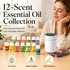 🧵 LIMITED TIME 50% OFF!12-Pack Water Soluble Essential Oils Set